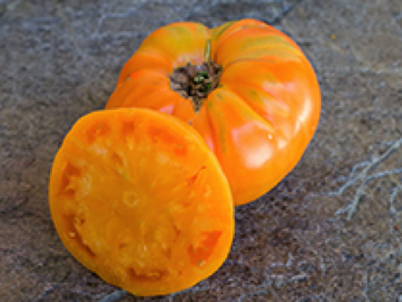 amana orange heirloom tomato